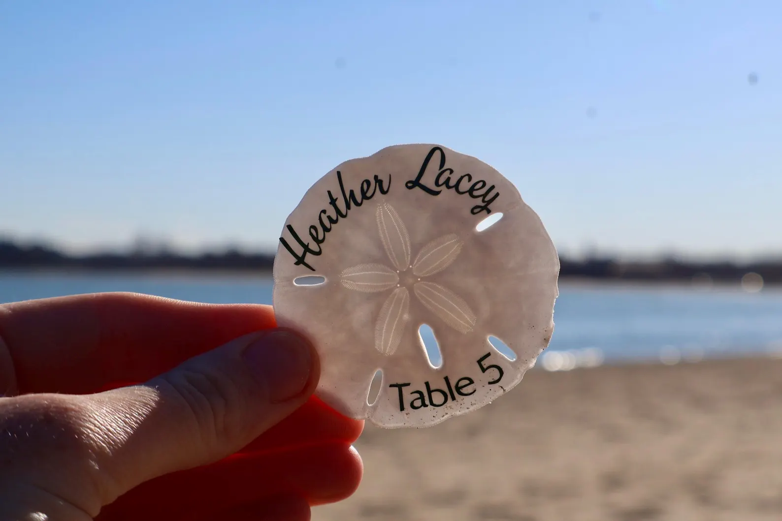 Natural sand dollar seashell seating cards with calligraphy for beach weddings