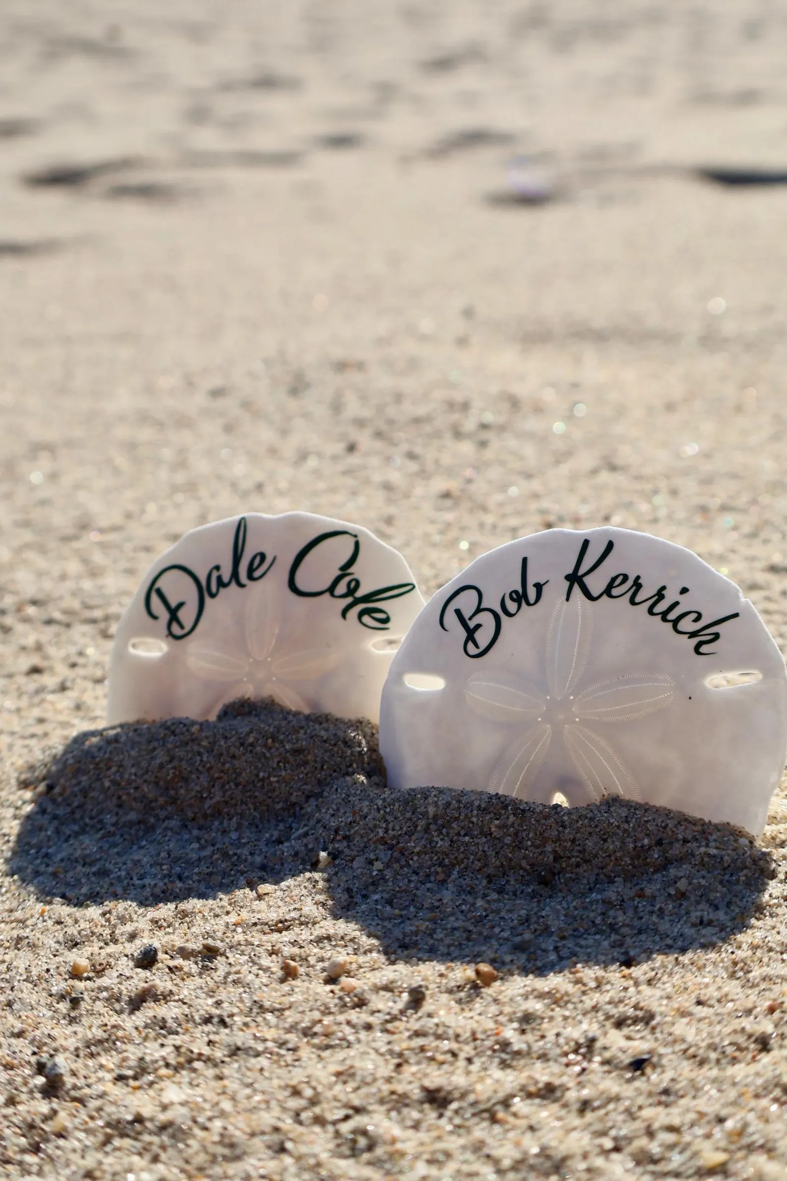 Sand Dollar Seashell Seating Chart — view 5
