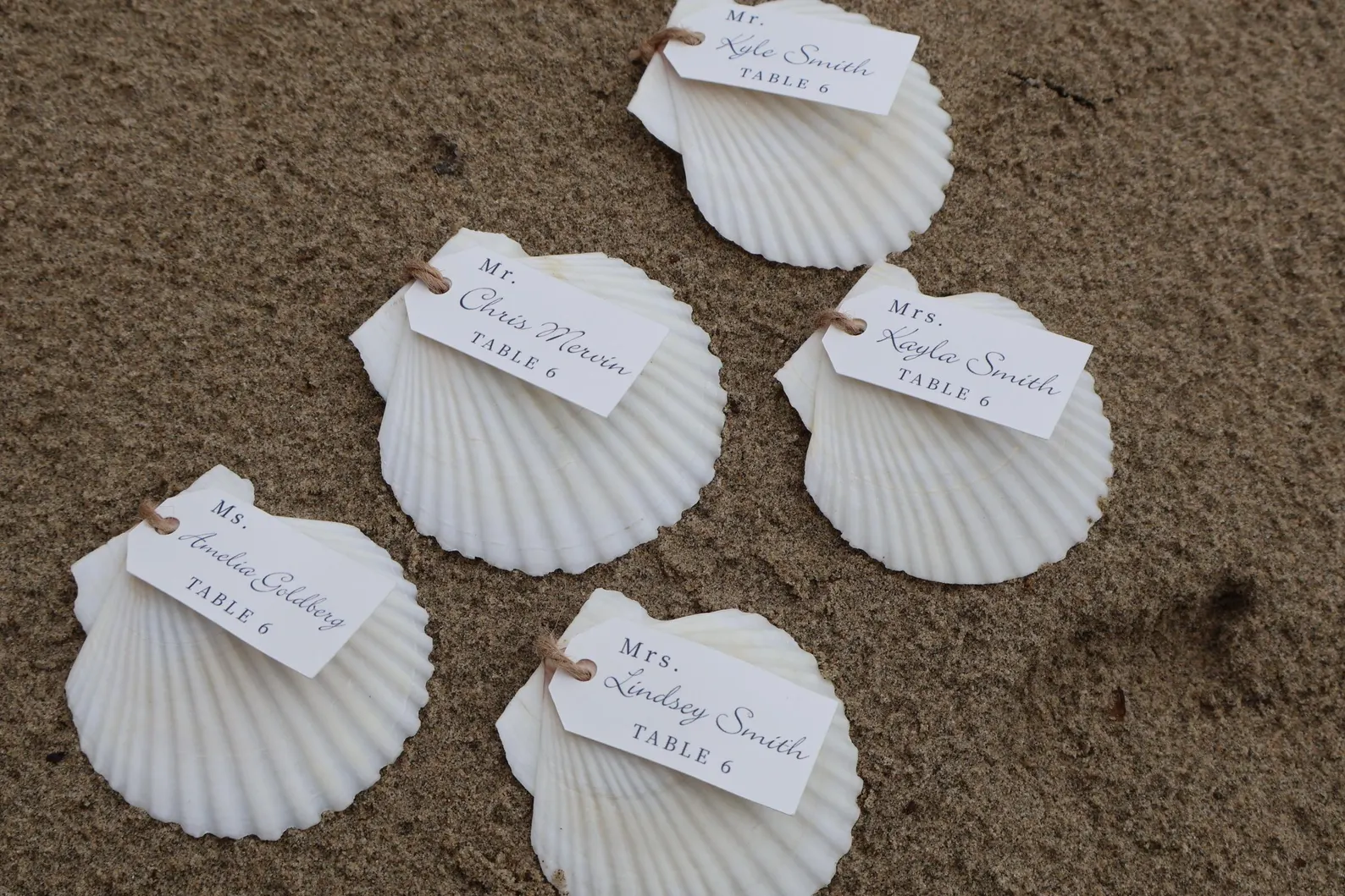 Scallop Seashell Seating Chart — view 5