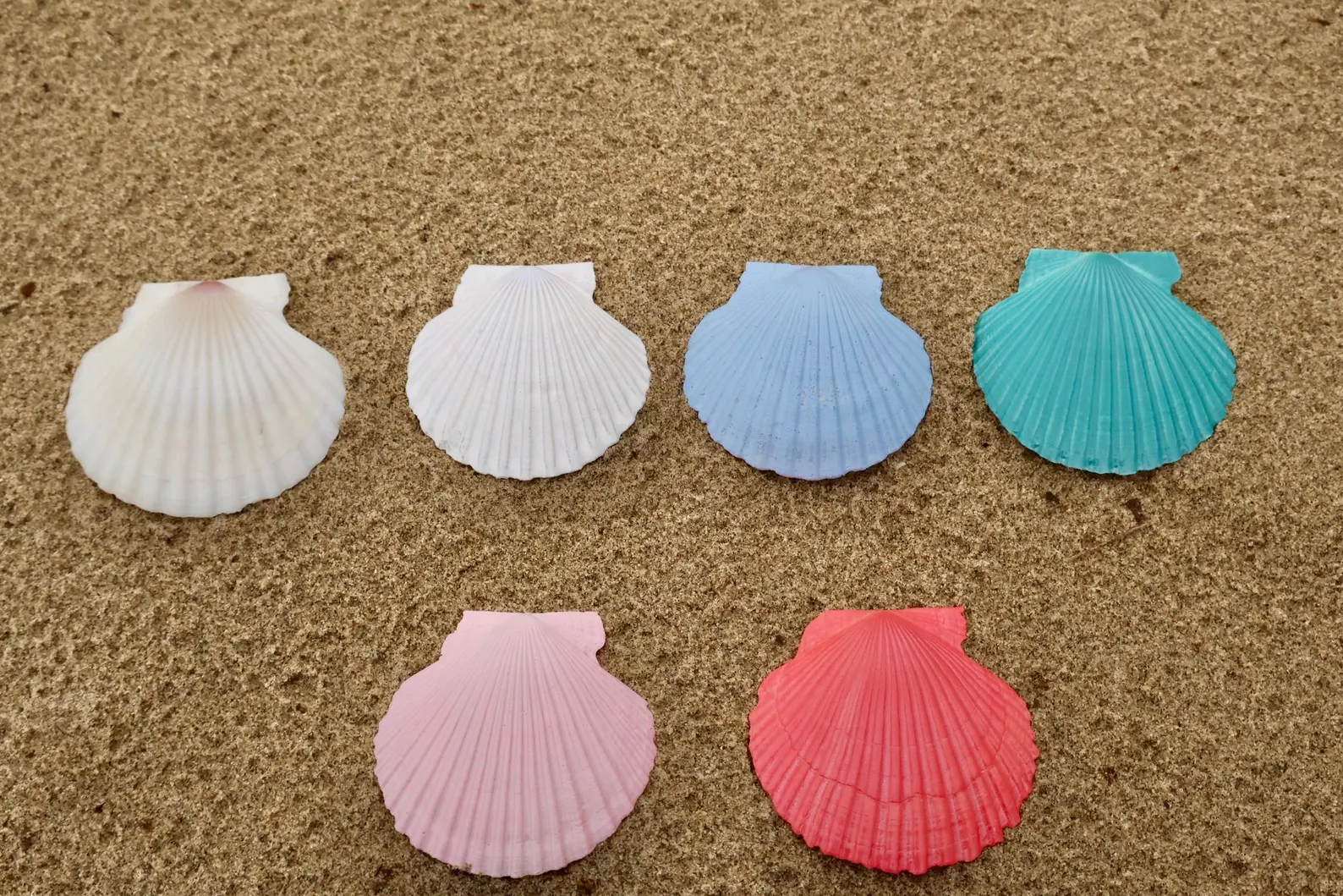 Scallop Seashell Seating Chart — view 7
